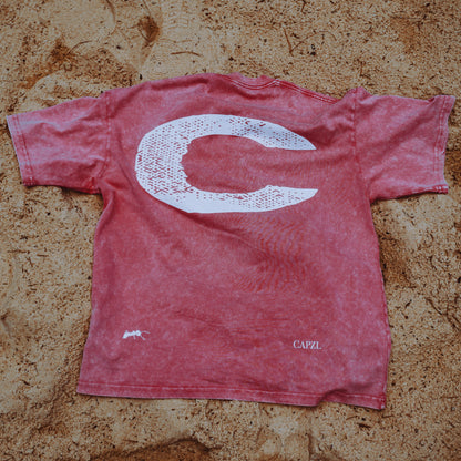 Summer Hue Oversize Tee (Hibiscus)